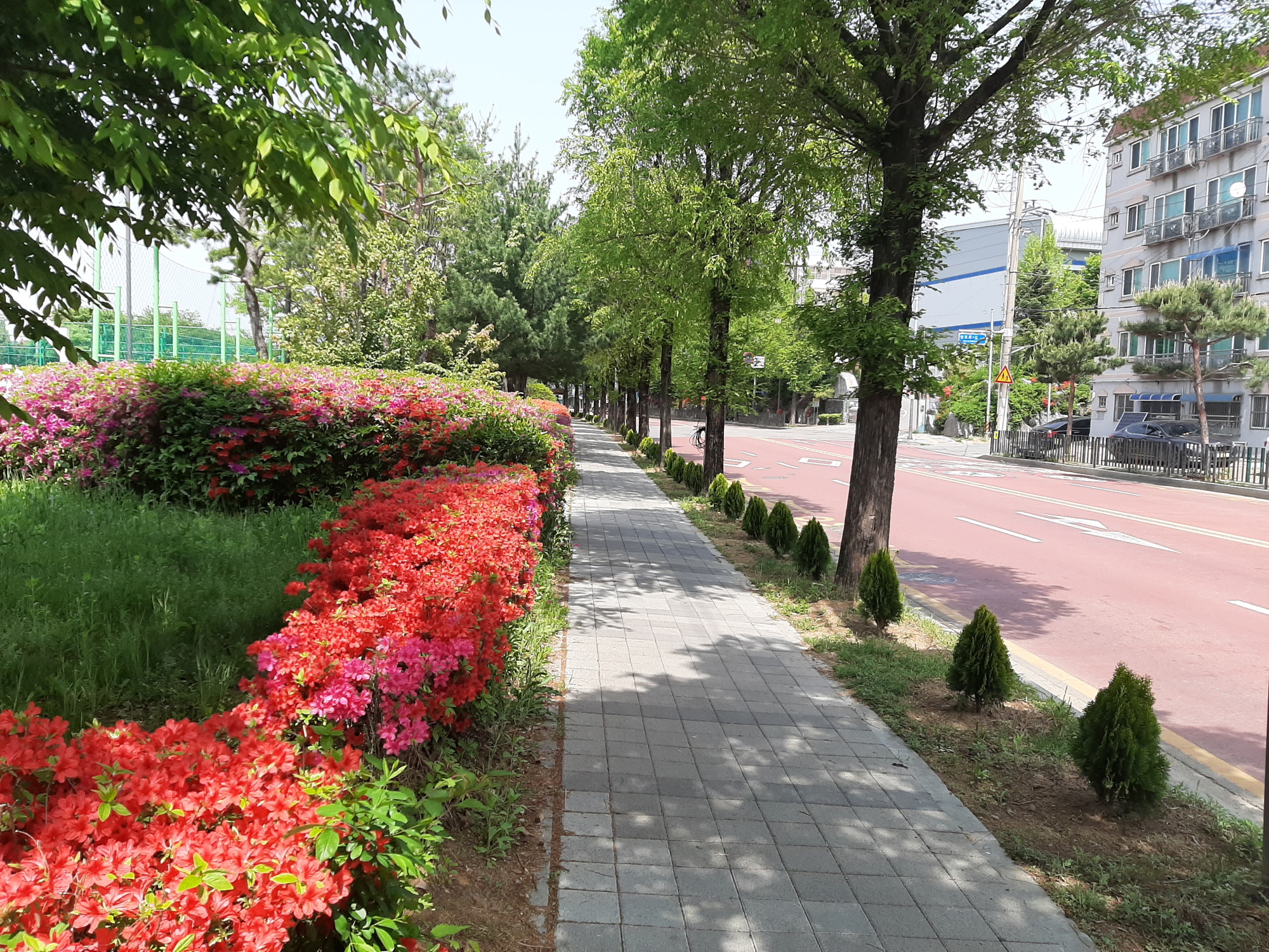 안산시 일동, 언제나 아름다운 ‘사계절 정원’ 조성