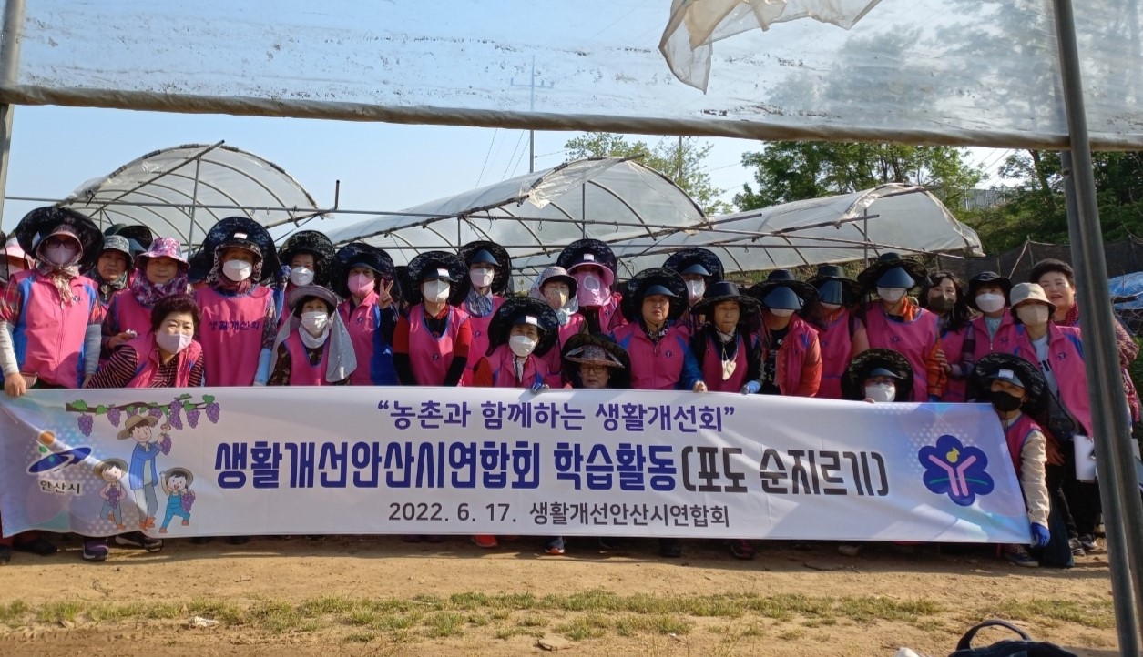 생활개선안산시연합회, 포도농가 일손돕기로 구슬땀