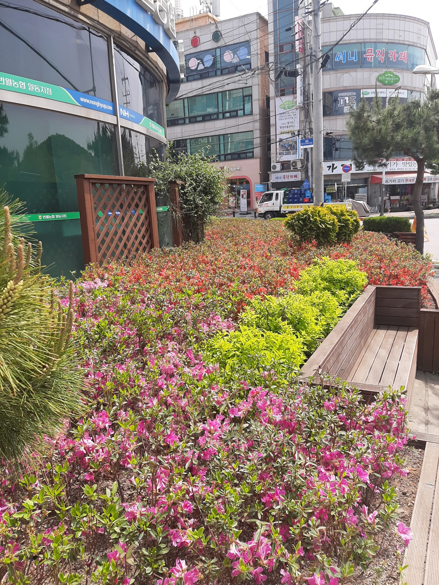 안산시 일동, 언제나 아름다운 ‘사계절 정원’ 조성