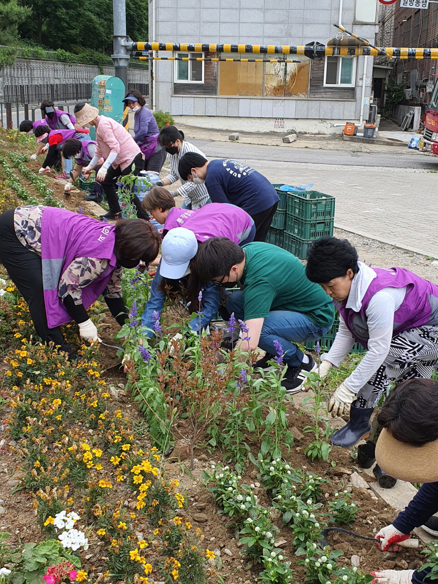 안산시 사동, 알록달록 여름꽃으로 갈아입어