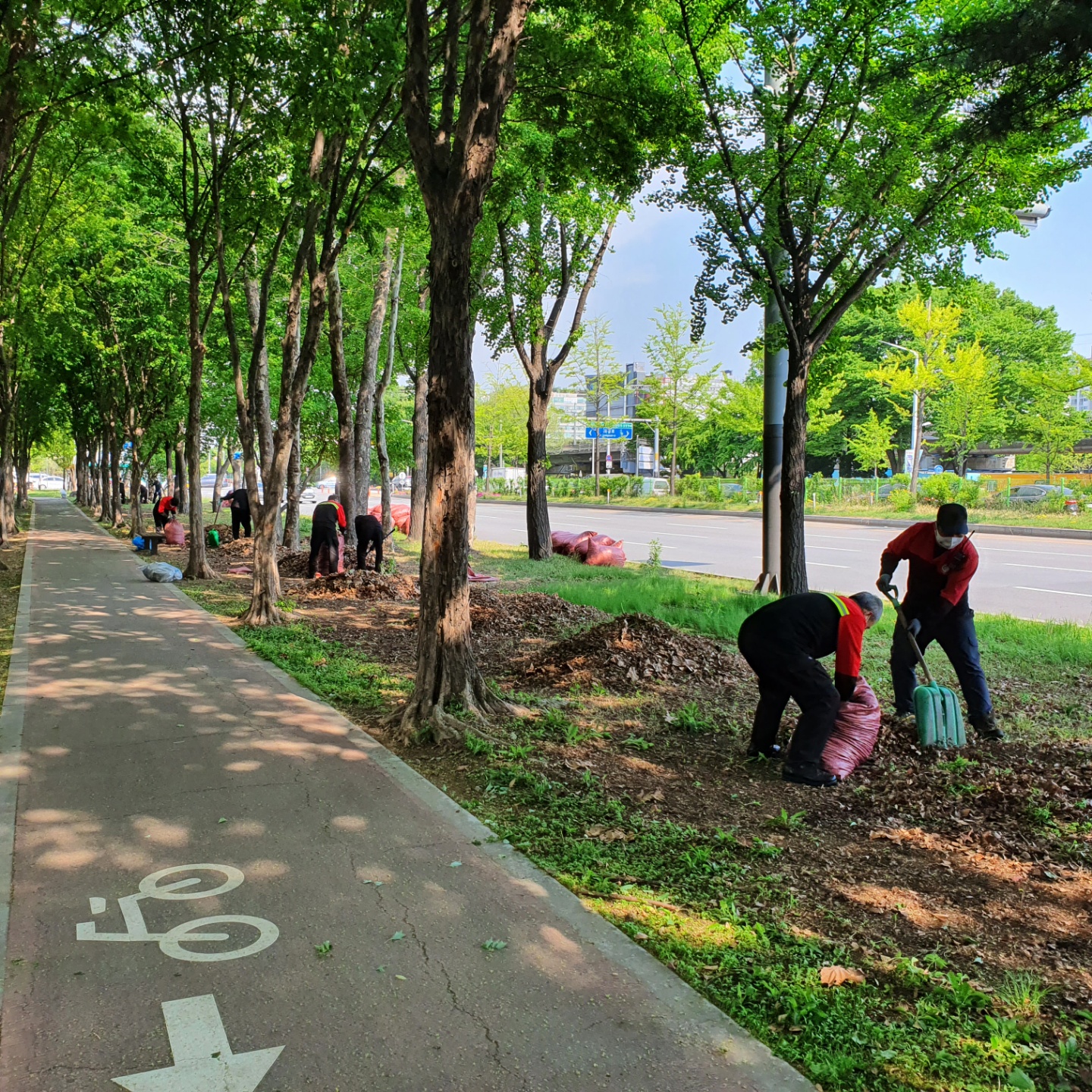 안산시, 국제거리극축제 맞아 중앙대로 녹지대 환경정비 실시