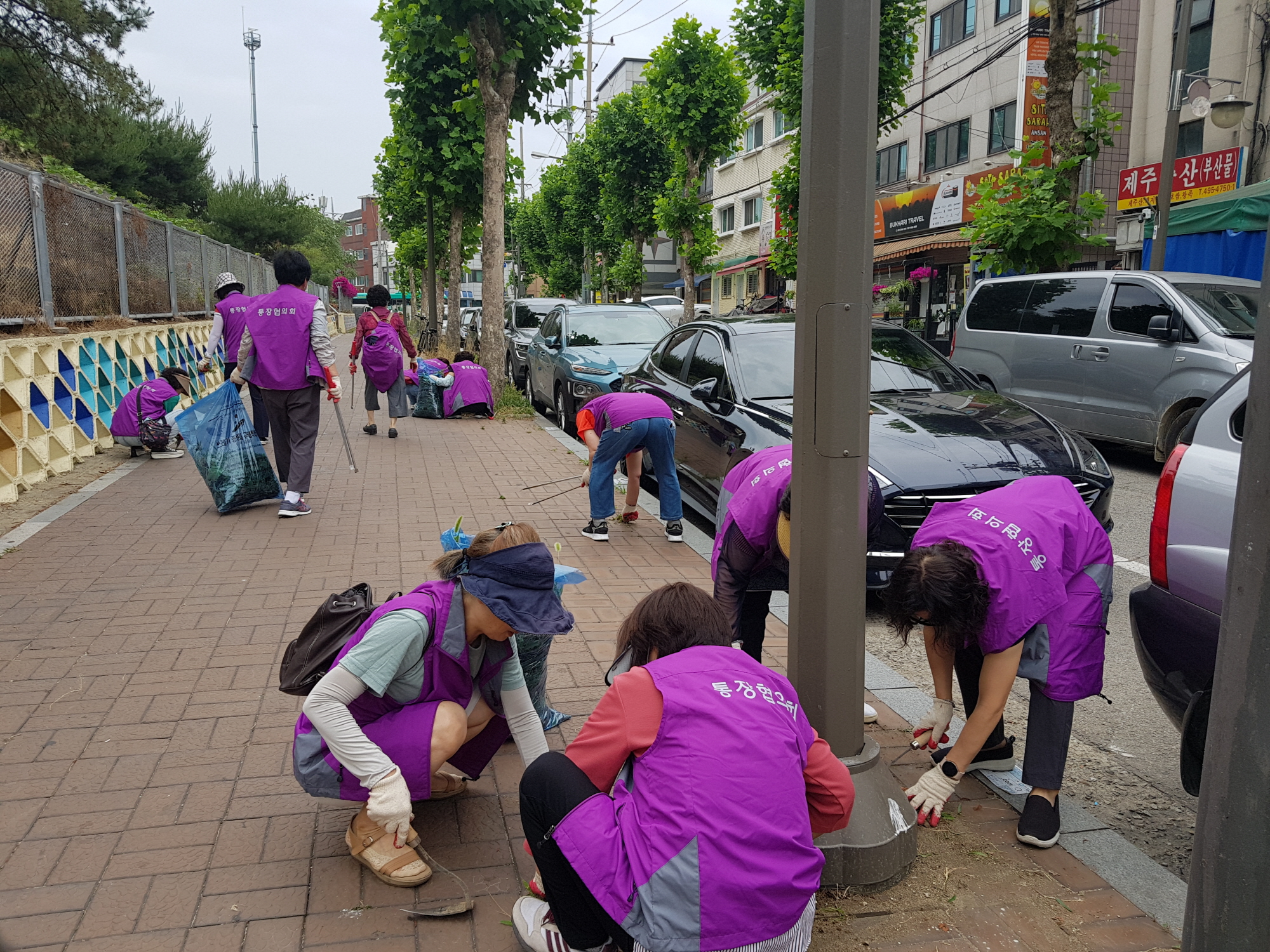안산시 원곡동, 장마 앞두고 환경정비 실시