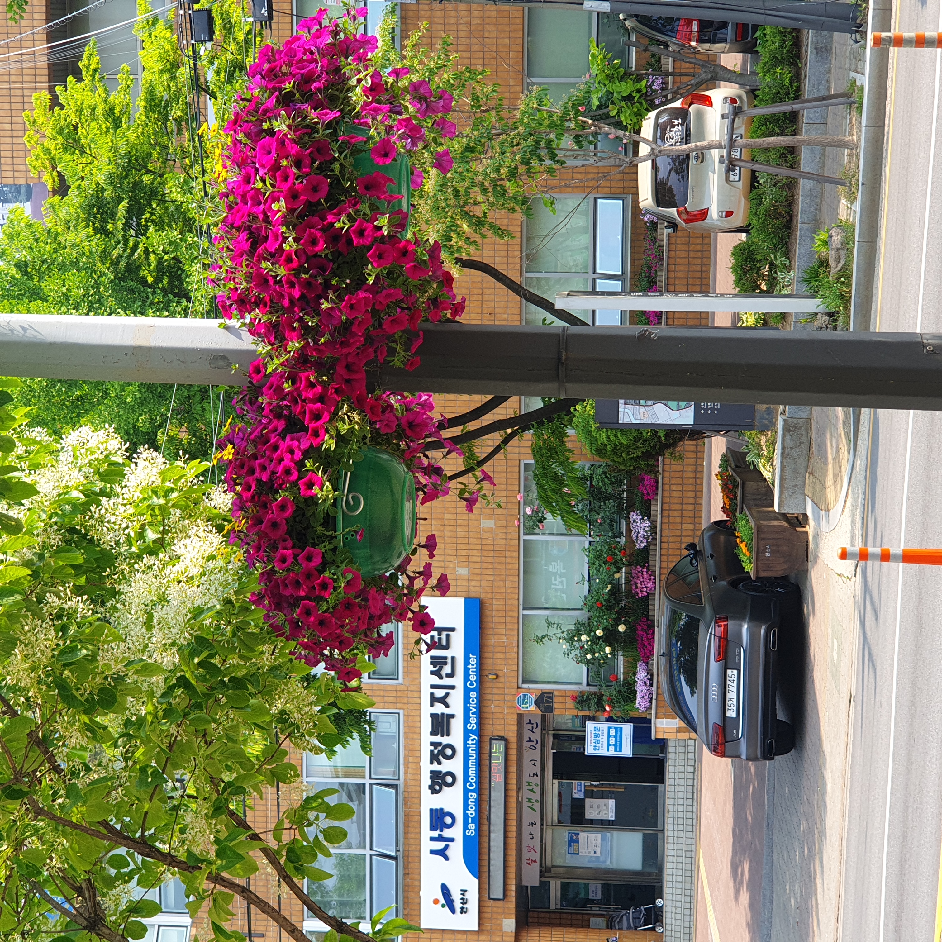 안산시 사동, 석호로 가로등에 꽃걸이 설치