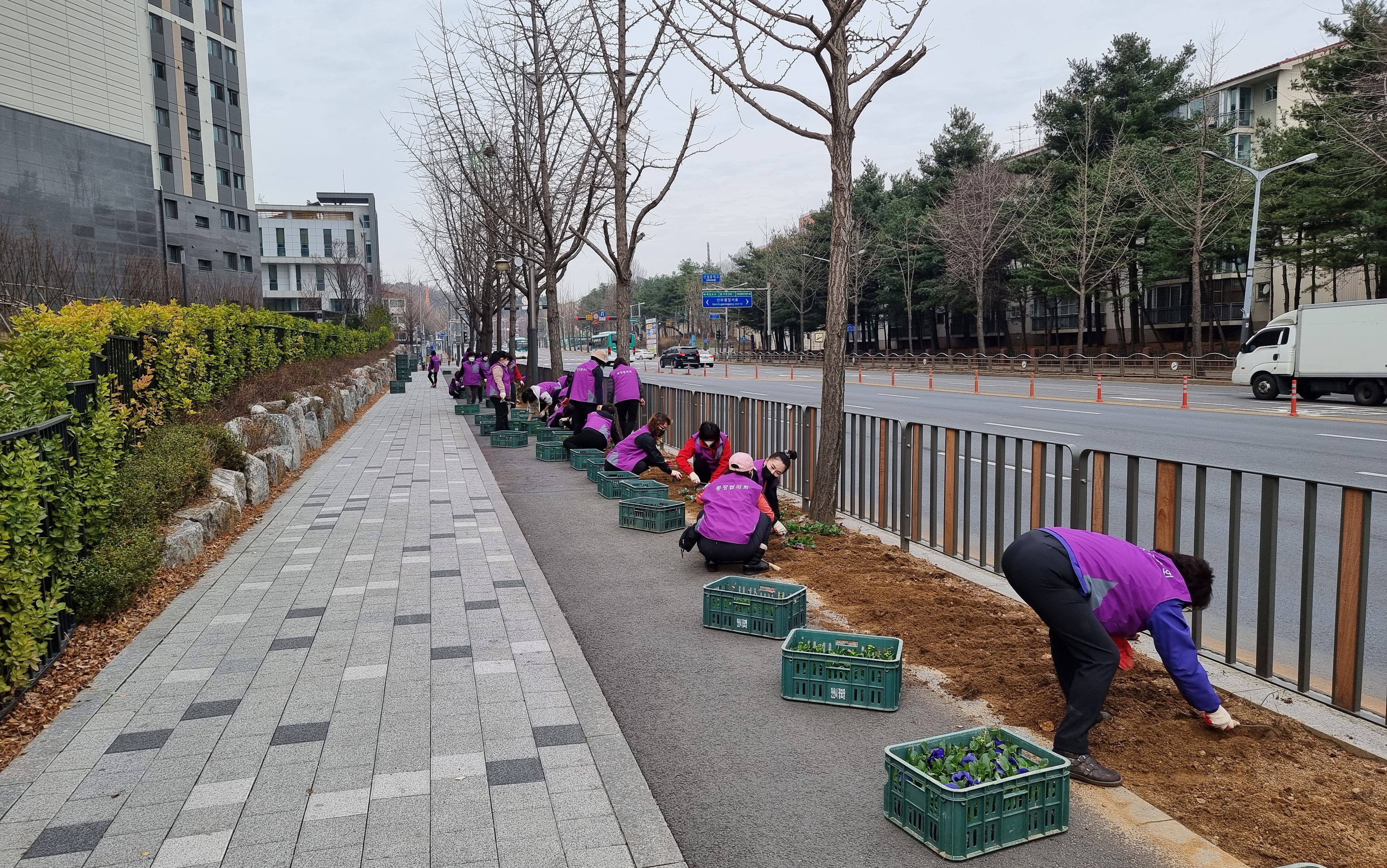 안산시 선부1동 통장협의회, 봄맞이 꽃 심기 행사