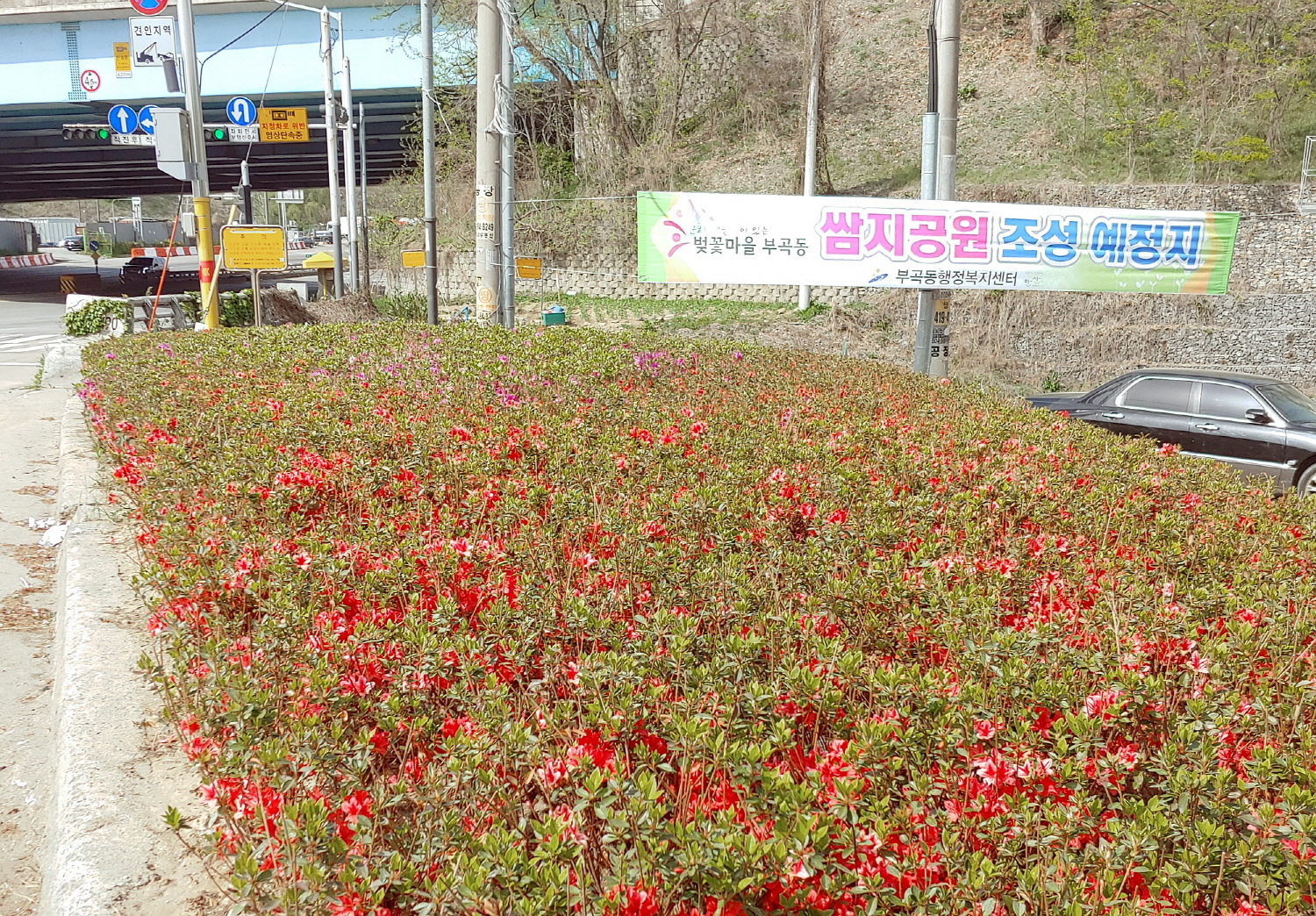 안산시 부곡동, 무단투기지역 쌈지공원으로 재탄생