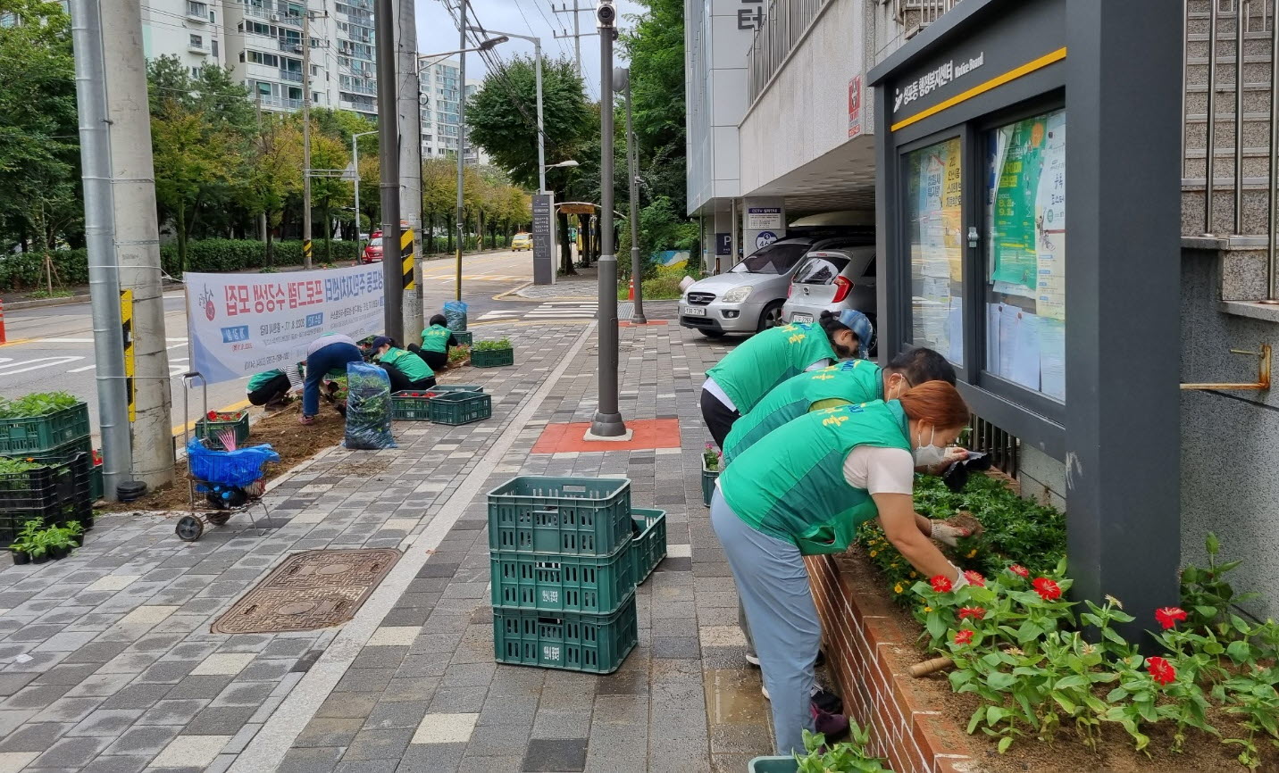 안산시 성포동 새마을부녀회, ‘가을꽃 식재’