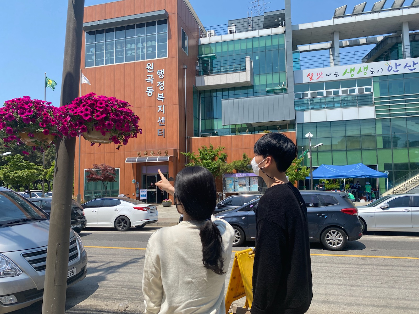 안산시 원곡동, 가로등에 꽃걸이 설치