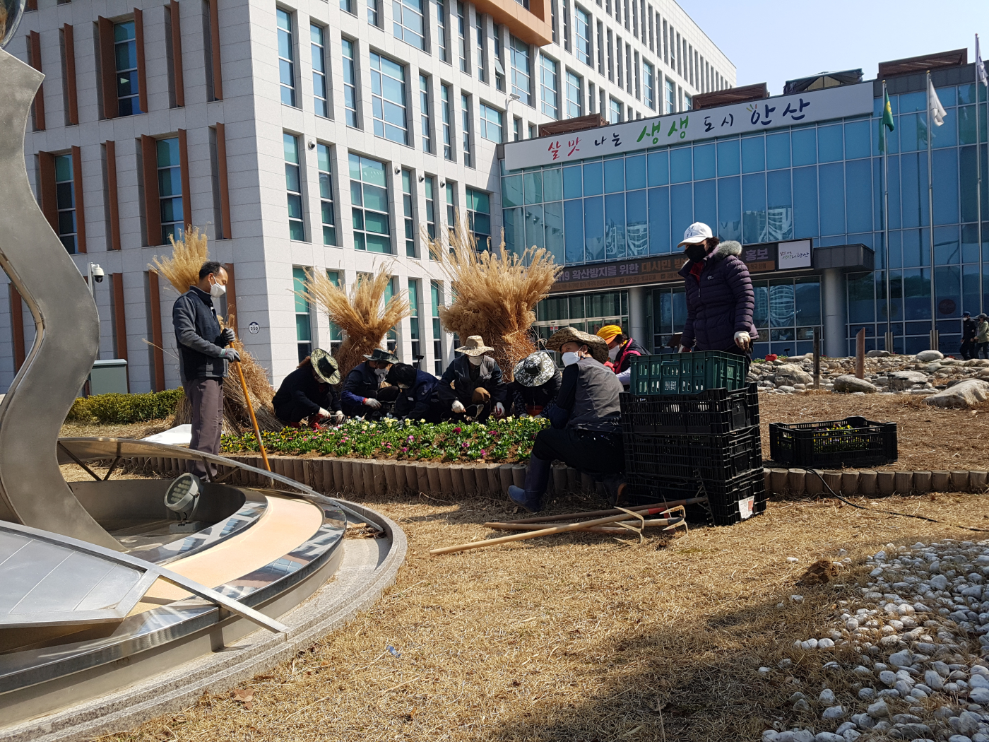 안산시 단원구청 · 단원보건소 일대 꽃밭이…싱그러운 봄맞이