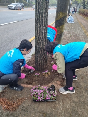 안산시 해양동, 용신로 일대 잡초제거 및 꽃잔디 식재
