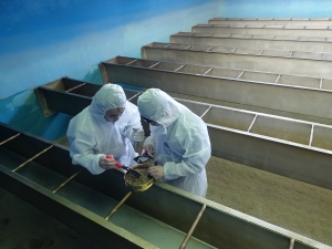 안산시, 유충걱정 없는 수돗물 상록水, 안심하고 이용하세요!