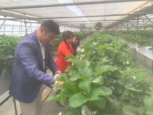 안산시 대부동 주민자치회, 일손 부족 농가 돕기 구슬땀