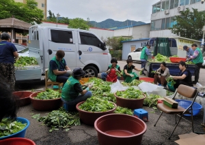 안산시 안산동 새마을회, 사랑의 열무김치 나눔 봉사