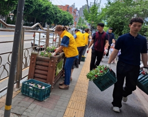 안산시 중앙동 주민자치회, 예술대학로 여름꽃 식재