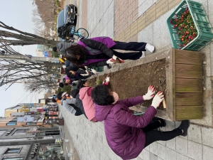 안산시 해양동, 봄꽃 식재로 화사한 새봄맞이