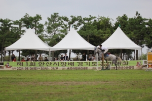 안산시, 제1회 안산시장배 경기도 승마대회 뜨거운 열전 마무리 
