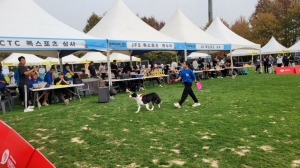 안산시, 2024 안산 펫 페스티벌 개최…“반려동물과 놀러오세요”