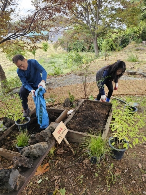 안산시 사이동 주민자치회, 가을꽃 식재로 마을정원 새단장