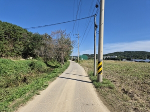 밤길 더 안전하게… 안산시, 대부도 내 안심가로등 설치 추진