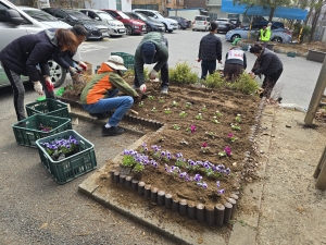 안산시 선부2동, 봄맞이 꽃심기 행사