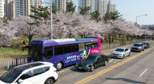 안산시티투어‘핑크로드 in Ansan’성료… 봄맞이 특별 코스 호응