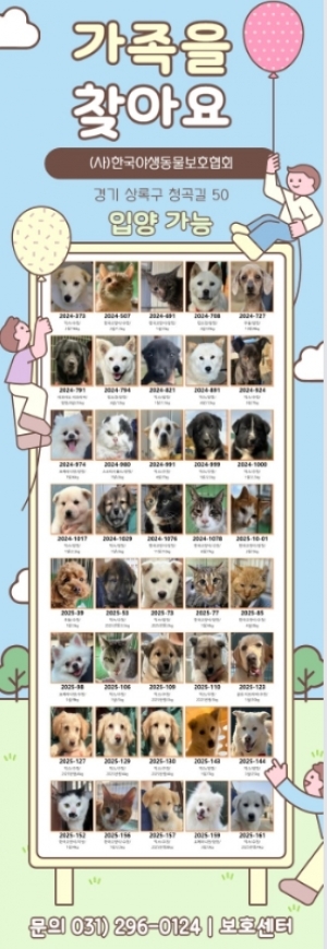 “BUY BYE 사지말고 입양하세요”어린이날 반려동물 입양 캠페인 개최