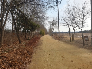 안산시, 안산갈대습지 개방 시간 연장… 오후 10시까지 운영 