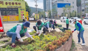 안산시 성포동 직능단체, 여름꽃 600본 식재