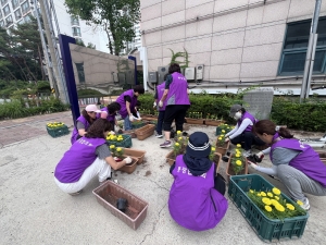 안산시 사이동, 여름꽃 식재로 도심에 싱그러움 가득