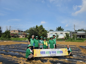 안산시 백운동 새마을회, 연말 김장나눔 위한 무 씨앗 파종 구슬땀
