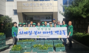 안산시 백운동 새마을회, 신선한 가을꽃 화단 조성