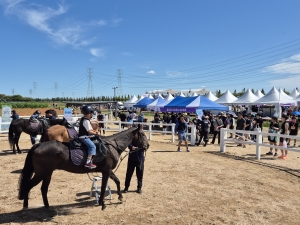 안산시, 대부포도축제서‘도심 속 승마 축제’… 1,700여 명 참여