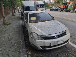 안산시 상록구, 한 달간 무단 방치 자동차 일제 집중 단속