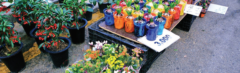 시원한 가을바람 쐬며 즐기는 전통시장 나들이