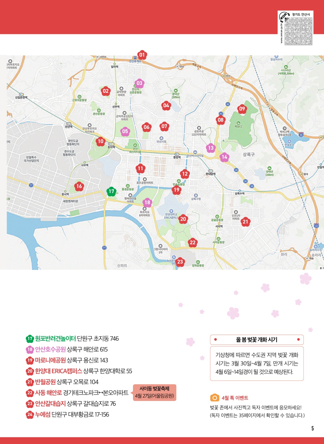 안산의 봄 / 다함께 즐기는 벚꽃(벚꽃 존)