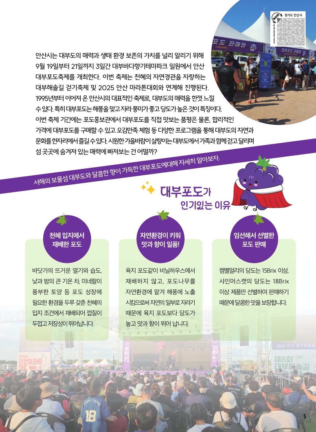 안산 대부포도축제