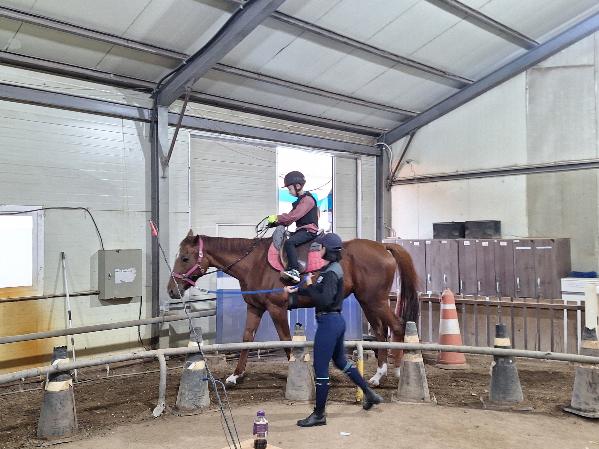 안산시, 학생승마체험 지원사업 시행… 청소년 정서·체력 향상 기대
