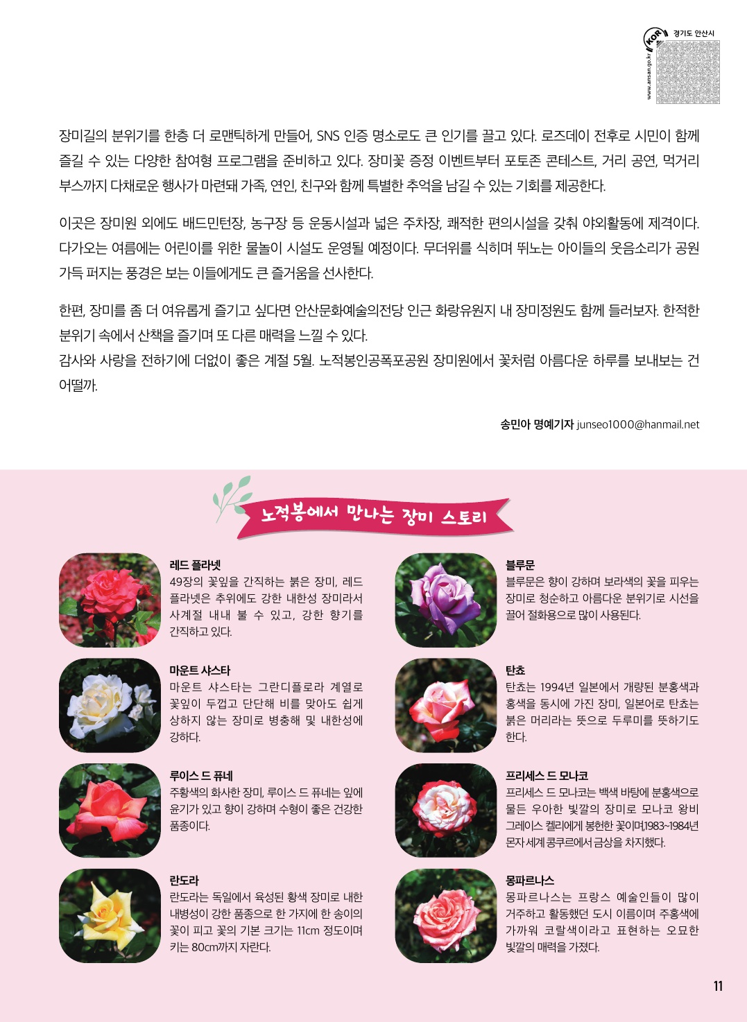 사랑이 피어나는 로즈데이, 노적봉인공폭포공원 장미원에서의 특별한 하루