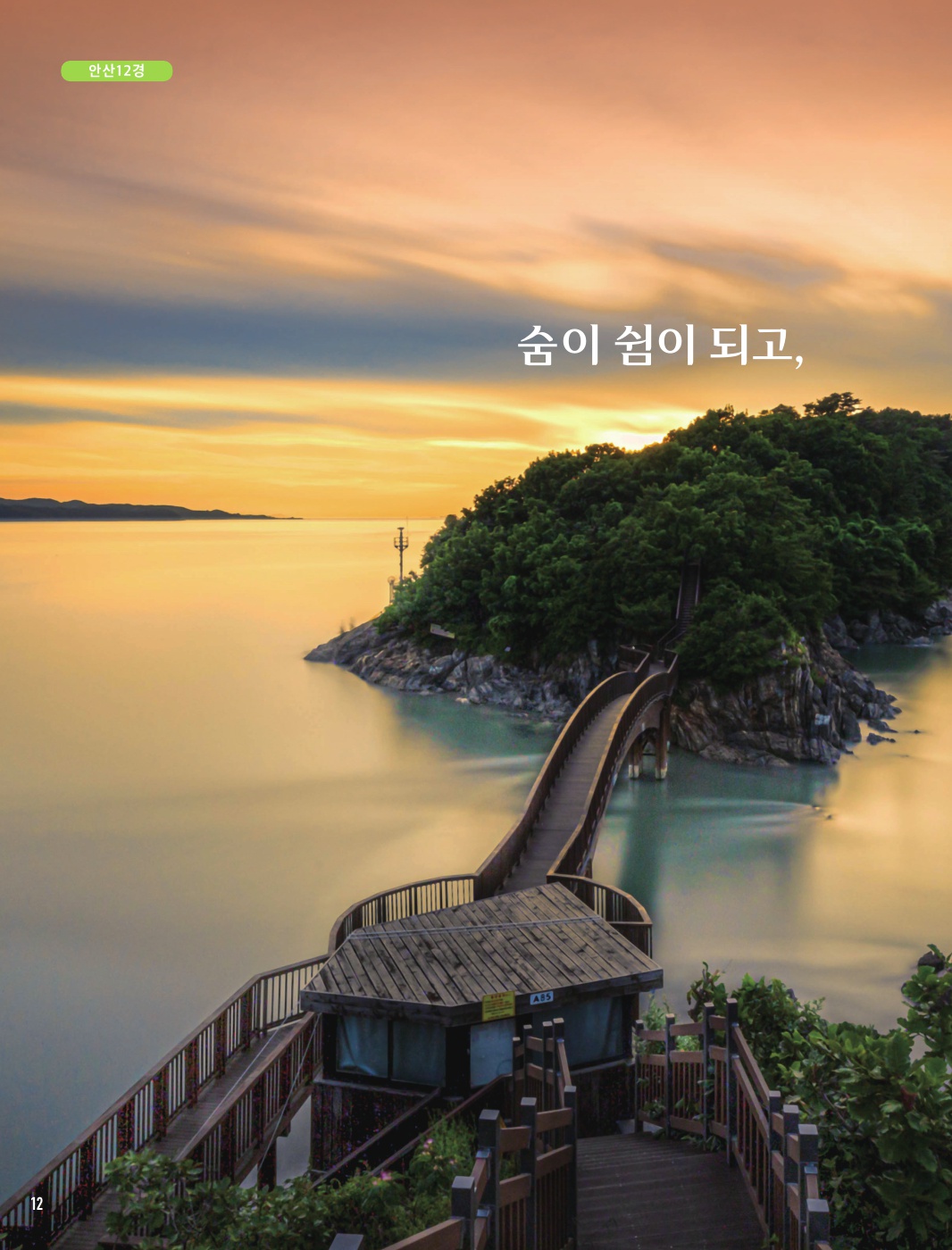 안산2경 ‘대부해솔길’