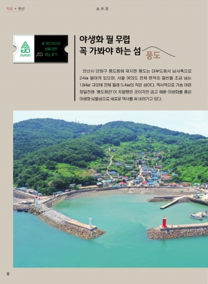 야생화가 필 무렵 꼭 가봐야 하는 섬 ' 풍도'