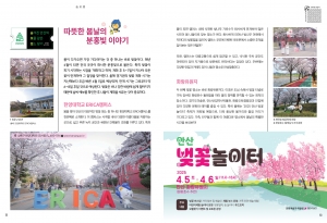 따뜻한 봄날의 분홍빛 이야기