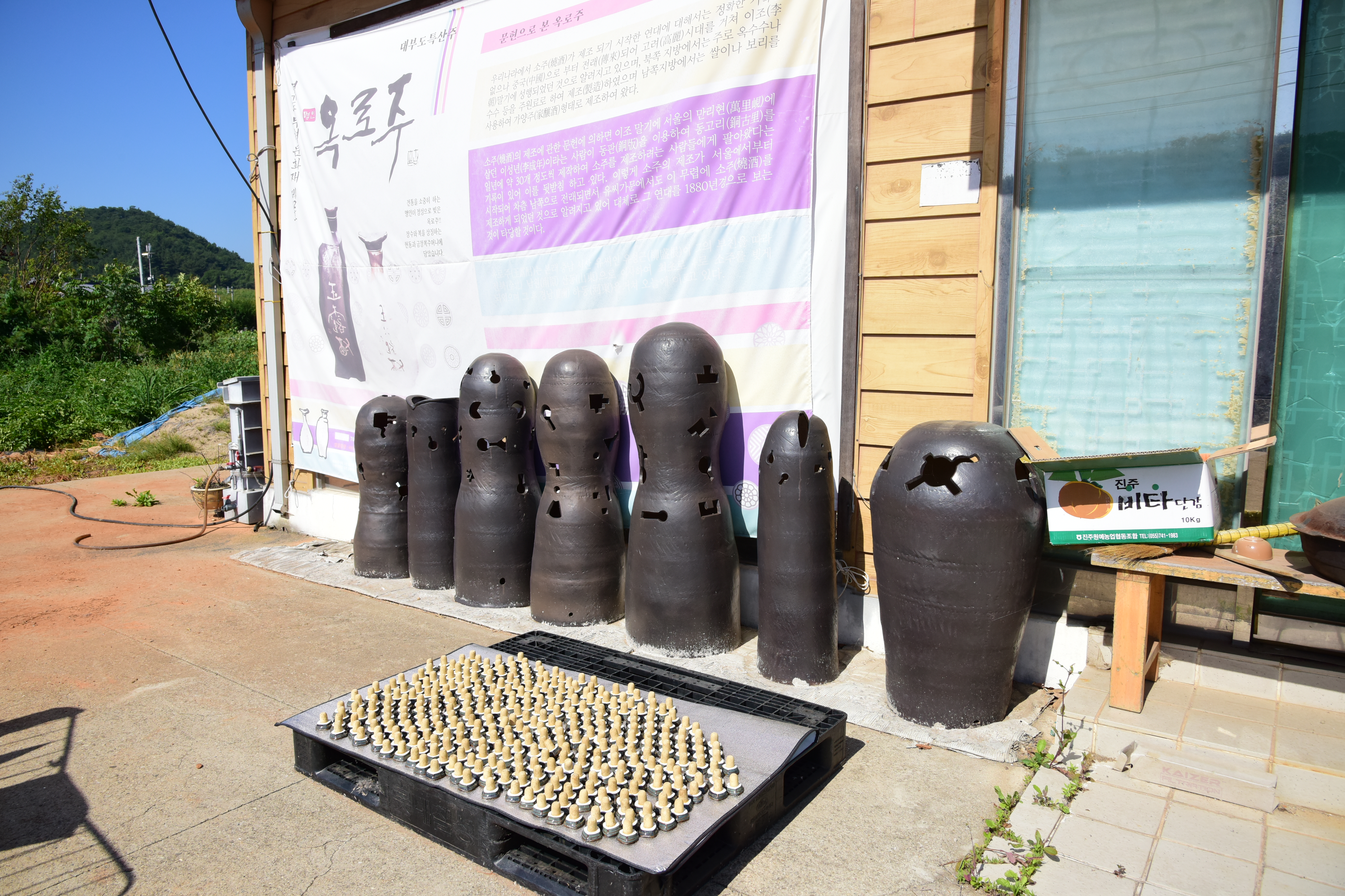 옥구슬같이 떨어지는 이슬방울에 취하자, 대부도에서!