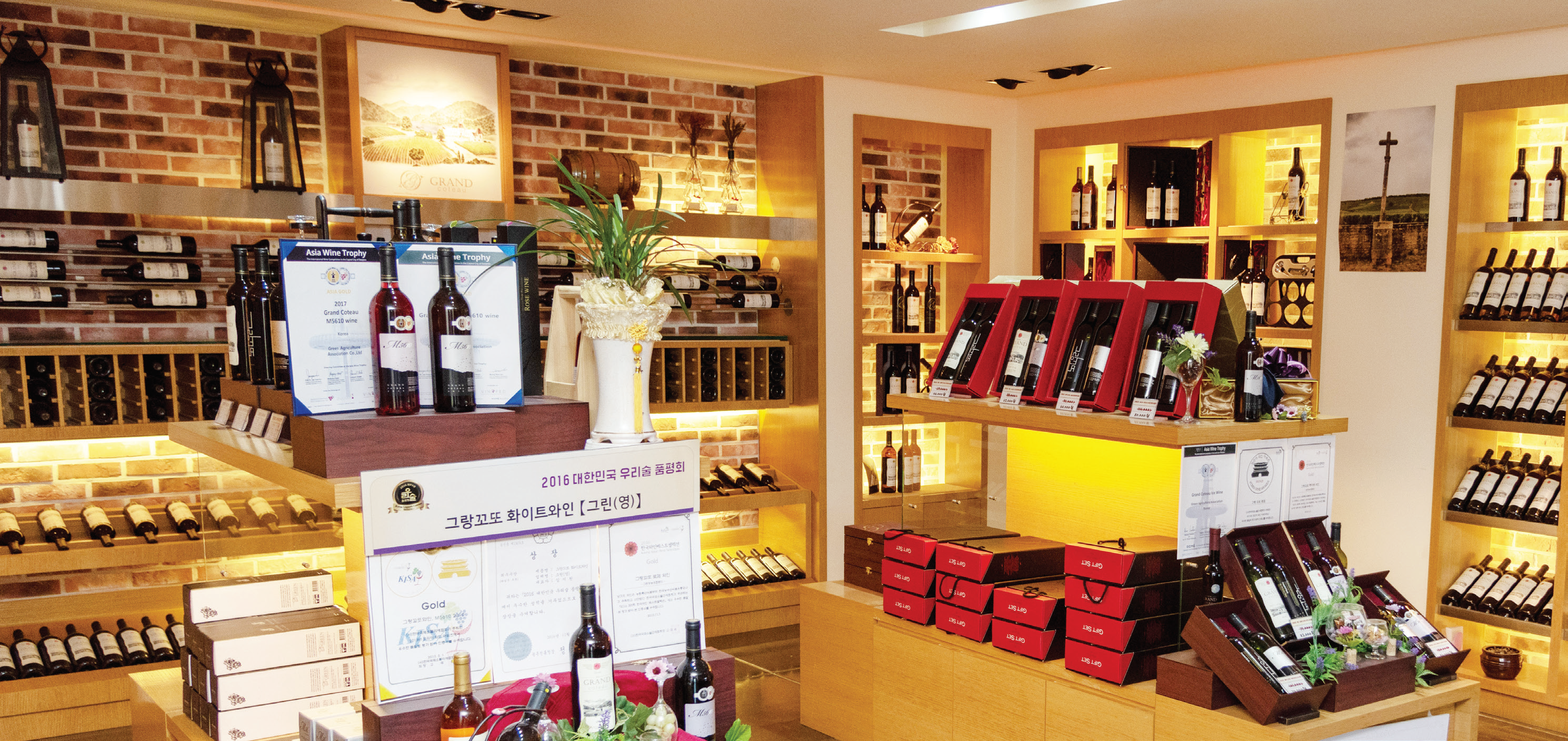 청포도가 익어가는 섬, 대부도… 국가대표 와인 ‘그랑꼬또’의 유혹에 빠지다