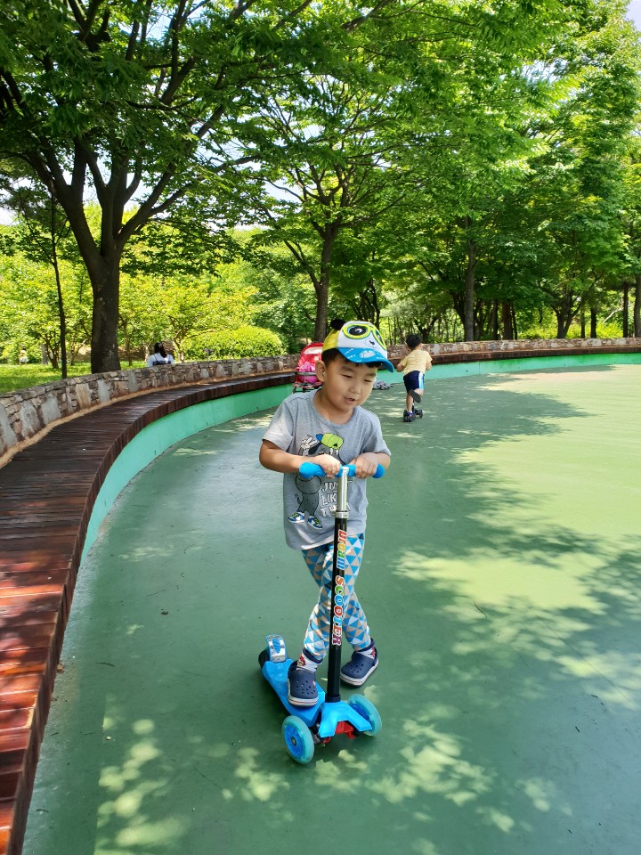 내가 안산을 사랑하는 이유 : 사방이 푸르러, 눈이 시원하다