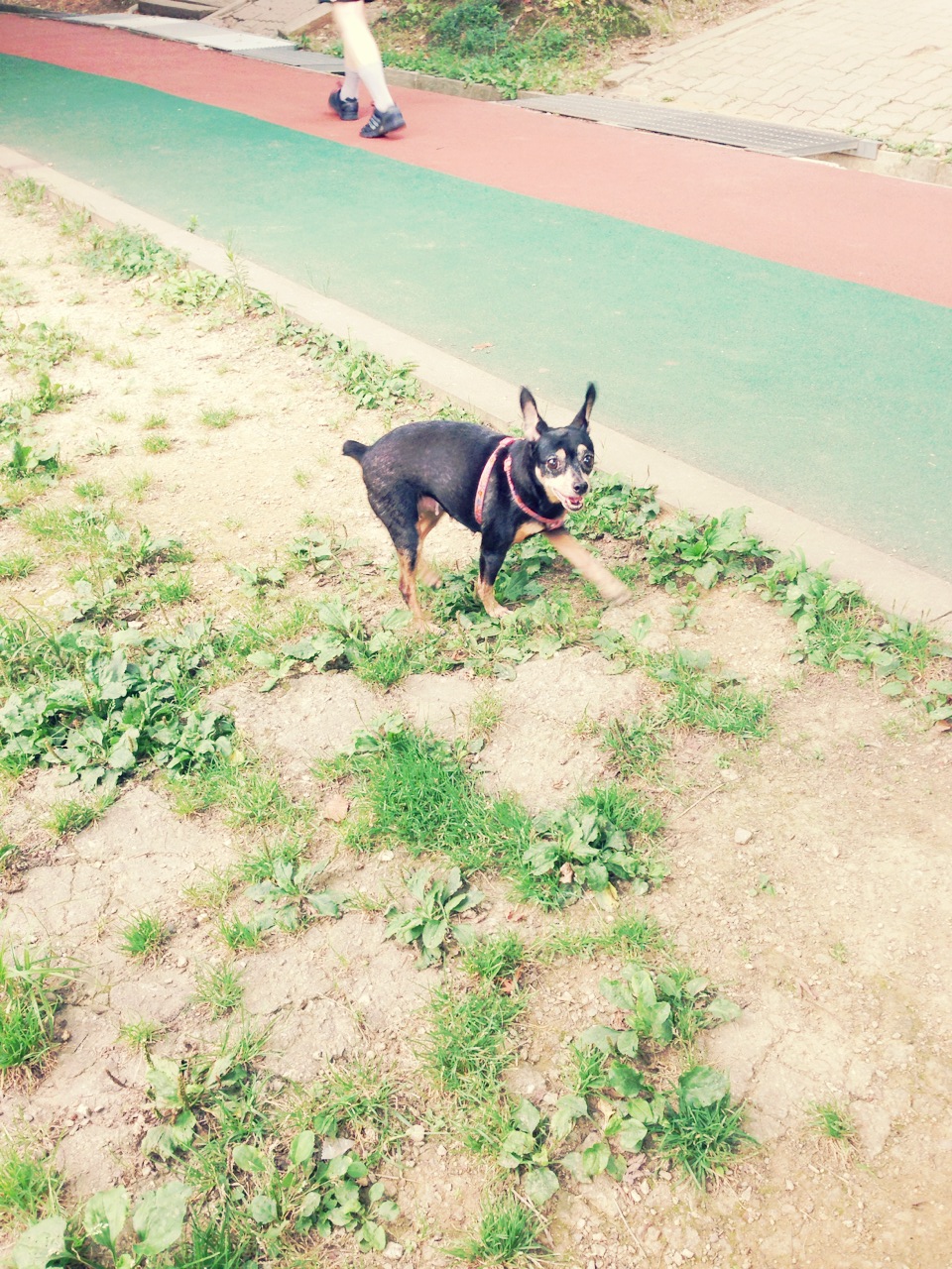 내가 안산을 사랑하는 이유