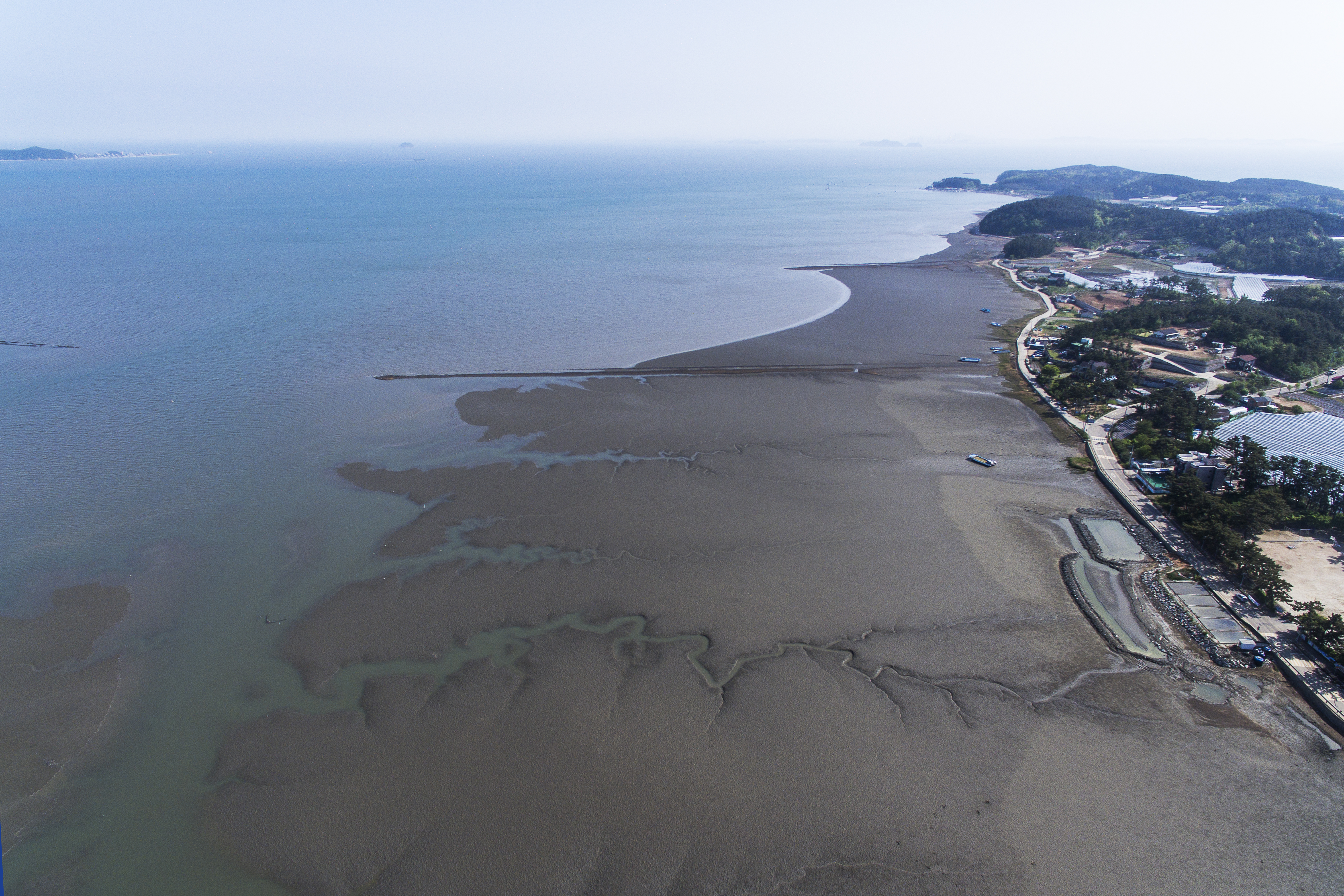 안산의 자부심 시리즈④ 대부도 갯벌이 아름다운 생태보물섬