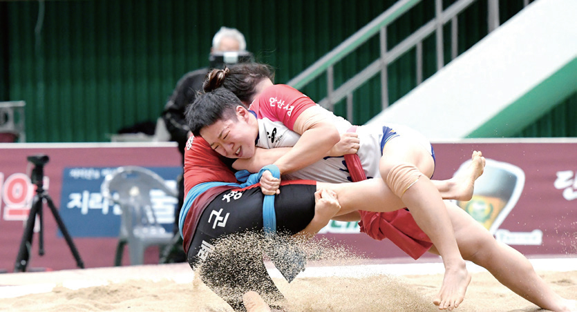 안산 김홍도장사 씨름대회 7일 간의 열전 마무리⋯ “안산이 들어매쳤네!”