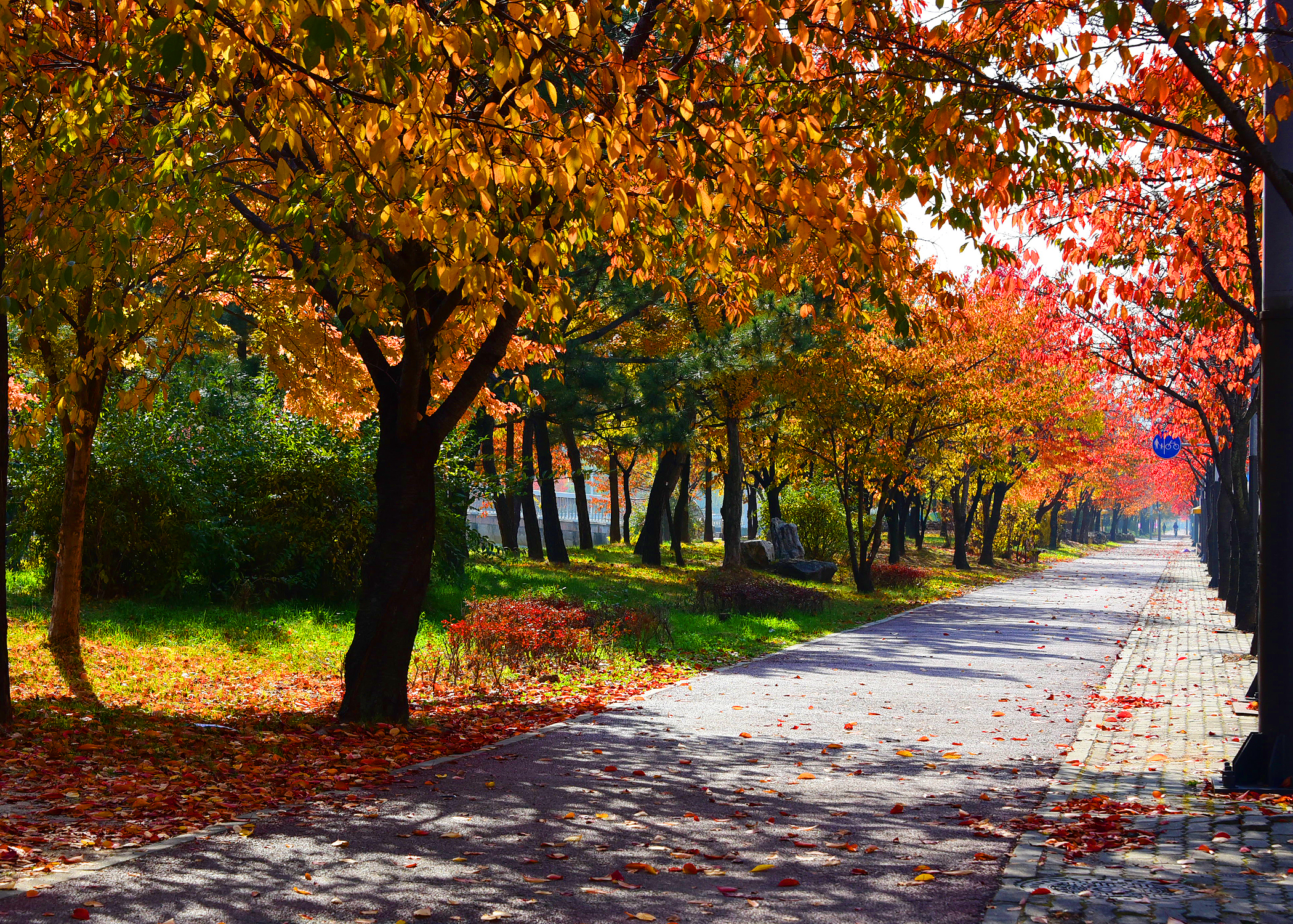 해양동 주민자치위원 공개모집