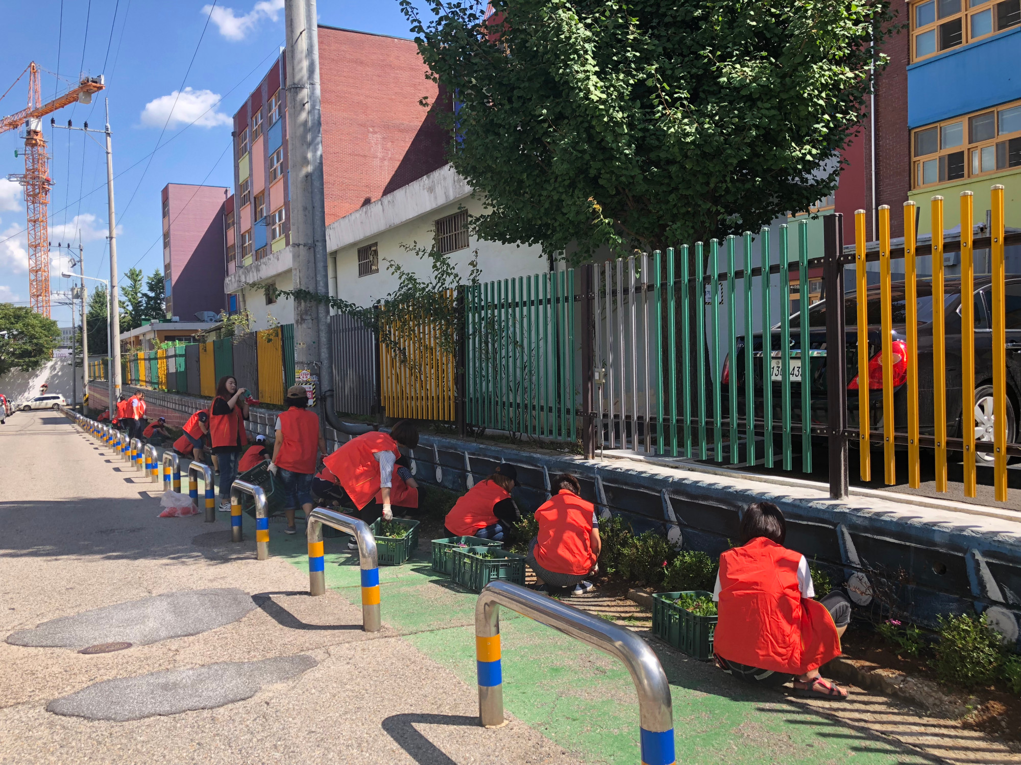 선부1동 가을꽃 식재로 환경정화 실시