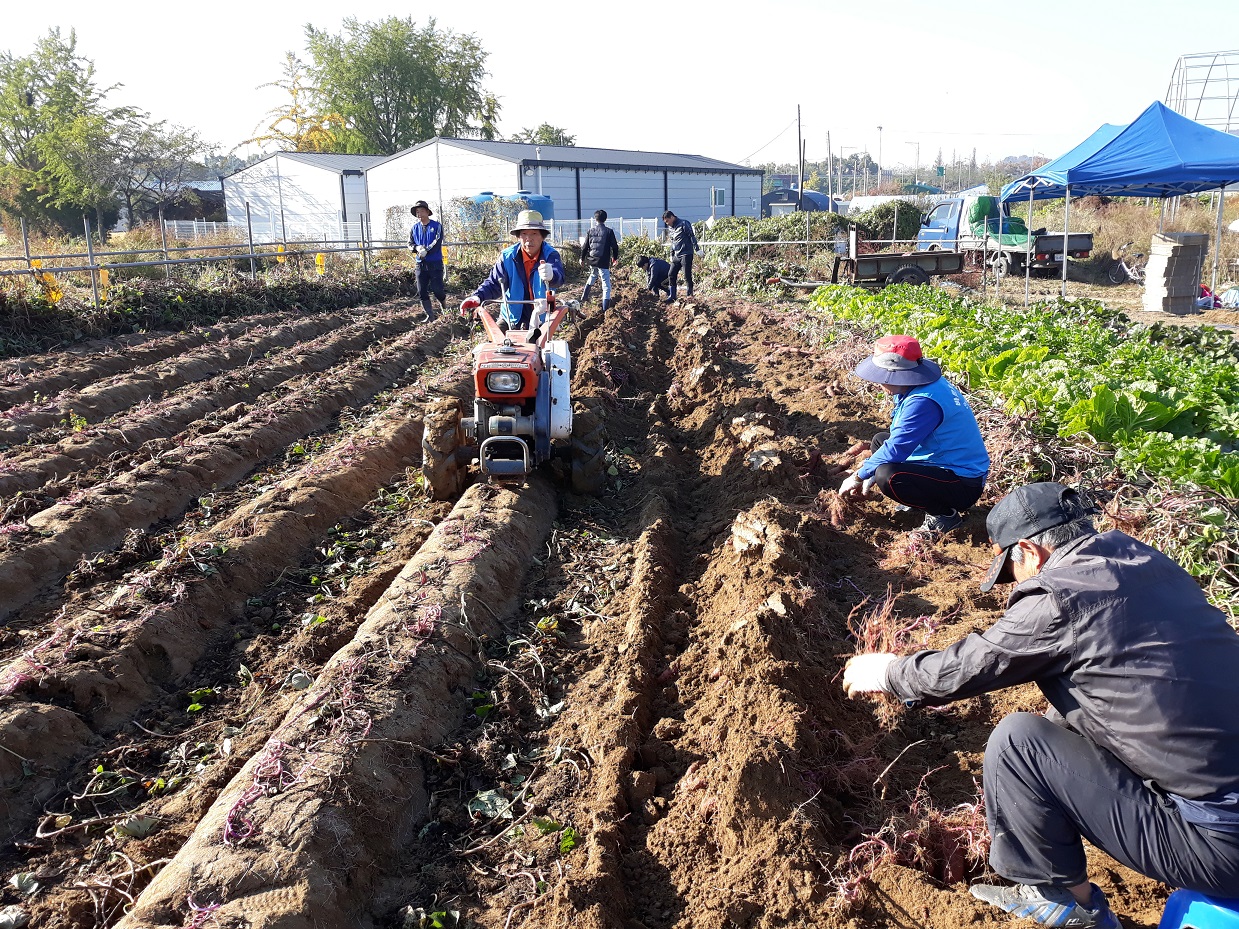 2018 선진 꿈 JOB GO 페스티벌 및 아나바다 행사 개최