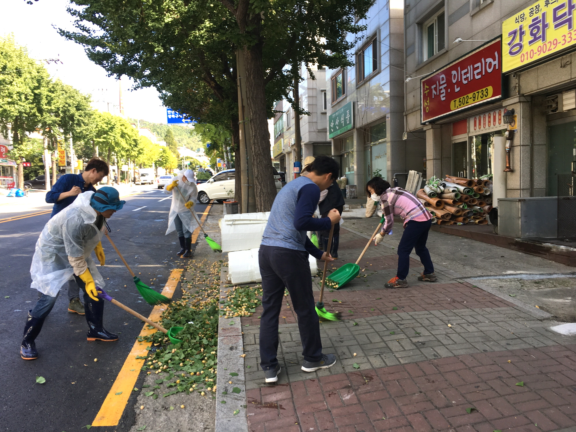 ‘은행 열매’집중 수거… 고질적 악취 예방